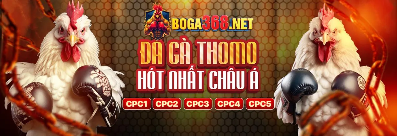 Hình ảnh đại diện Tuân thủ GDPR của ku3936 link vào