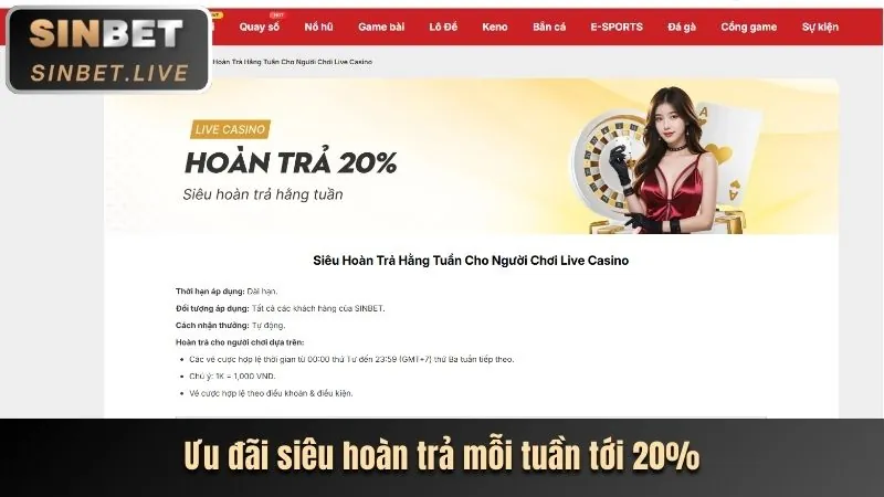 Tổng quan nền tảng cá cược KU3936